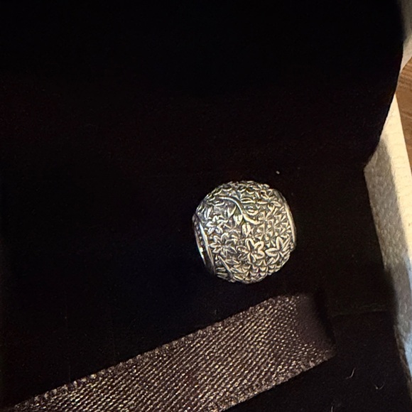 Pandora Disney Epcot Flower & Garden Festival Charm - Picture 3 of 8